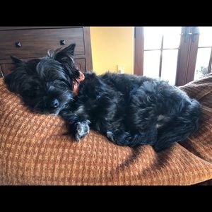 Meet your Posher, Kathleen